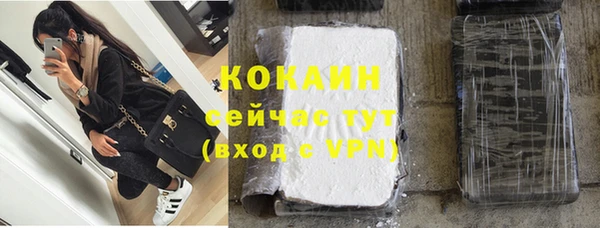 дживик Алзамай